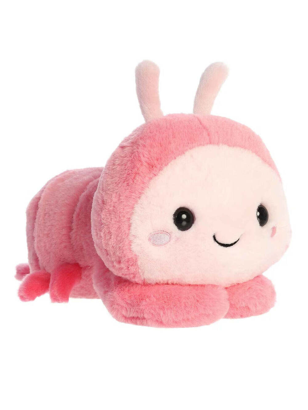 Too Cute Shimi Shrimp